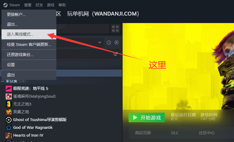 Steam离线账号使用方法配图7